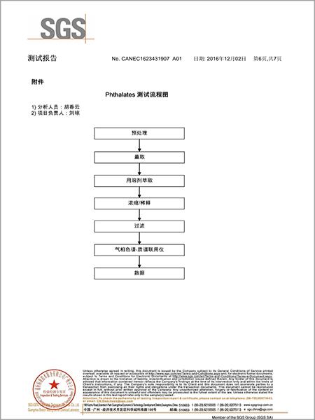 材通管业SGS检测报告第六页（中文）