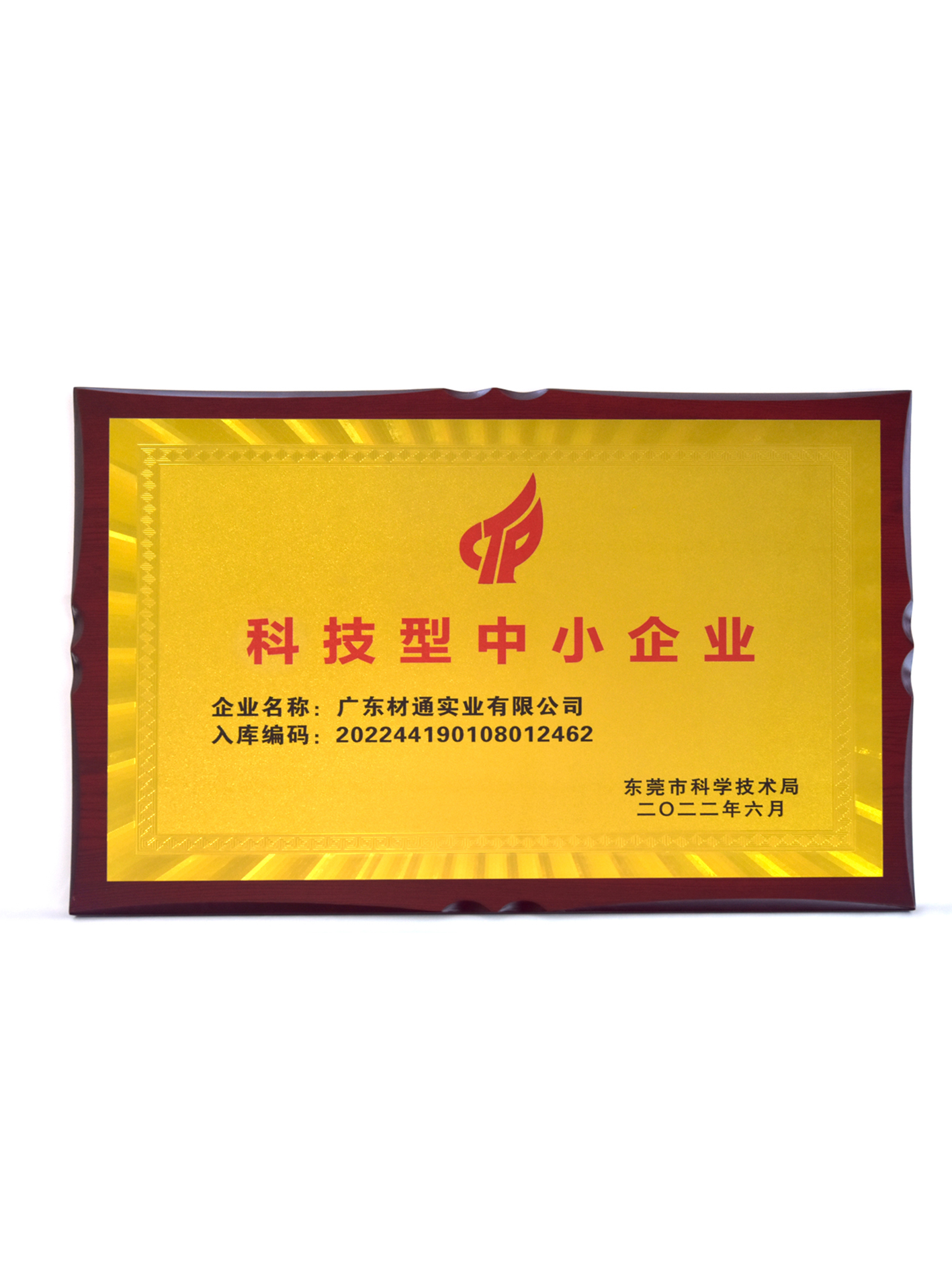 全屋活线电线管排布系统专利证书