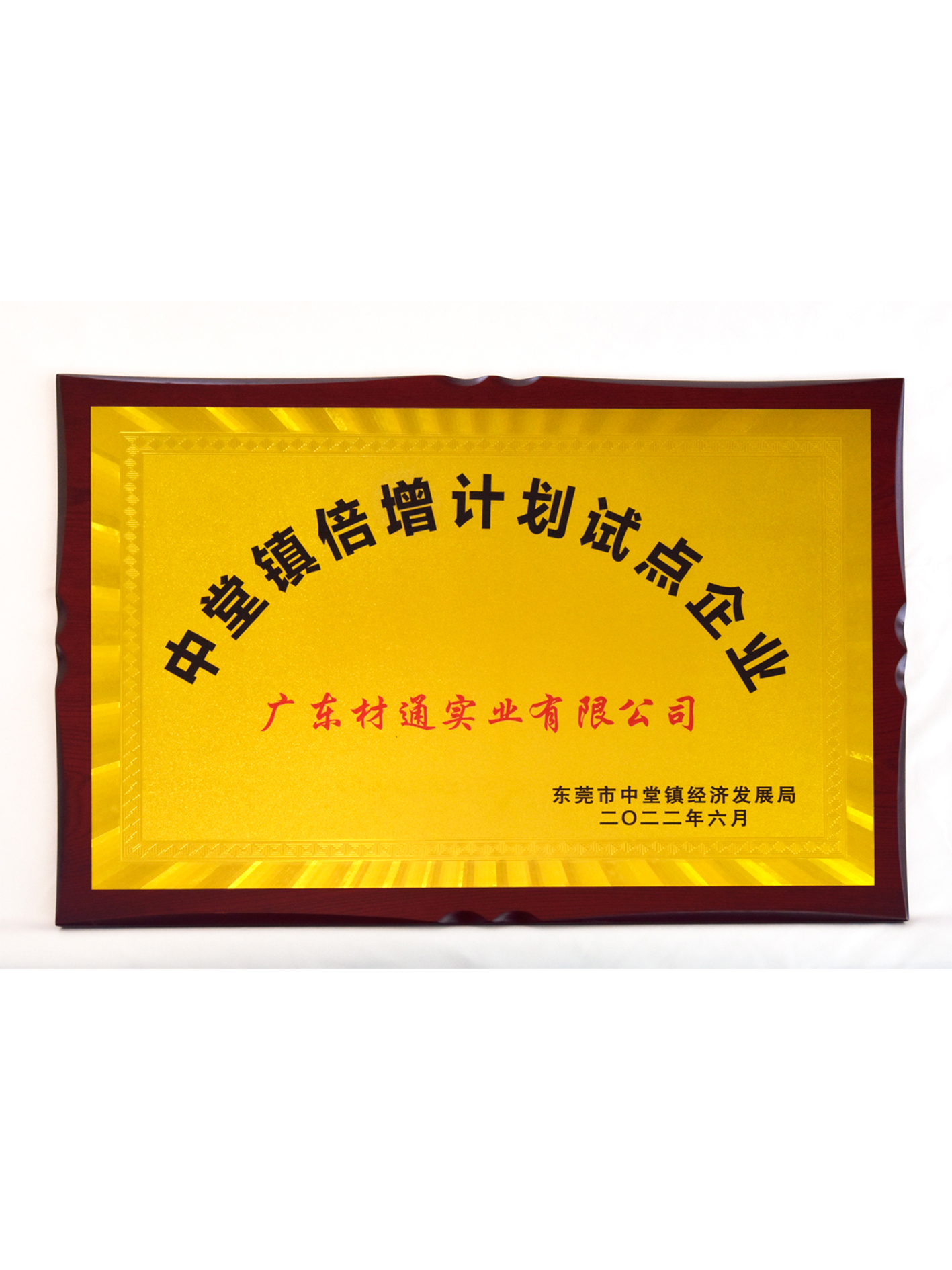 全屋活线电线管排布系统专利证书